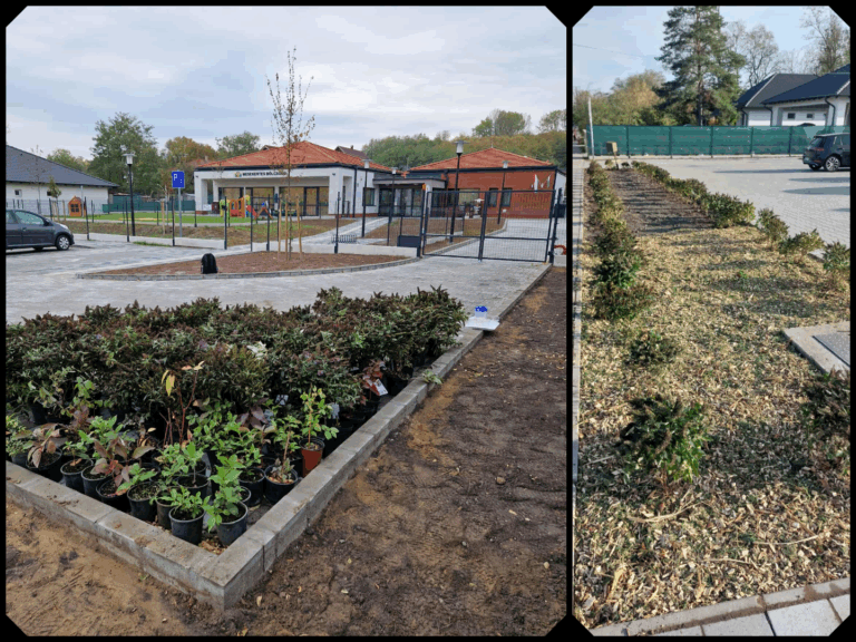 GŐZERŐVEL HALAD AZ 1000 CSERJE ÉVE PROGRAM