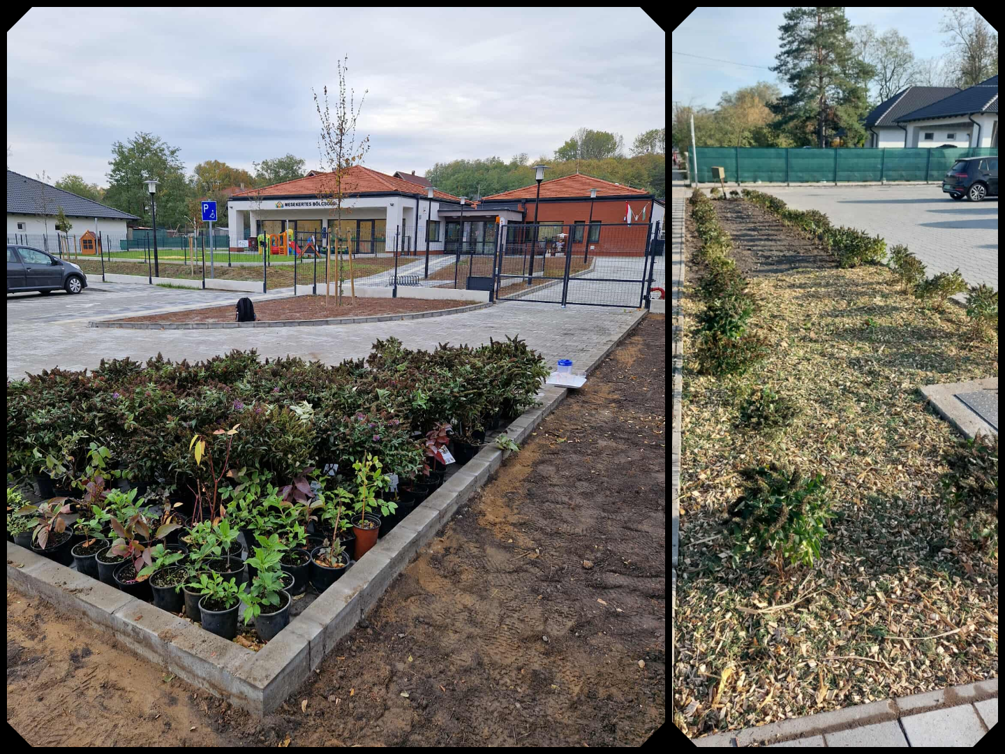 GŐZERŐVEL HALAD AZ 1000 CSERJE ÉVE PROGRAM