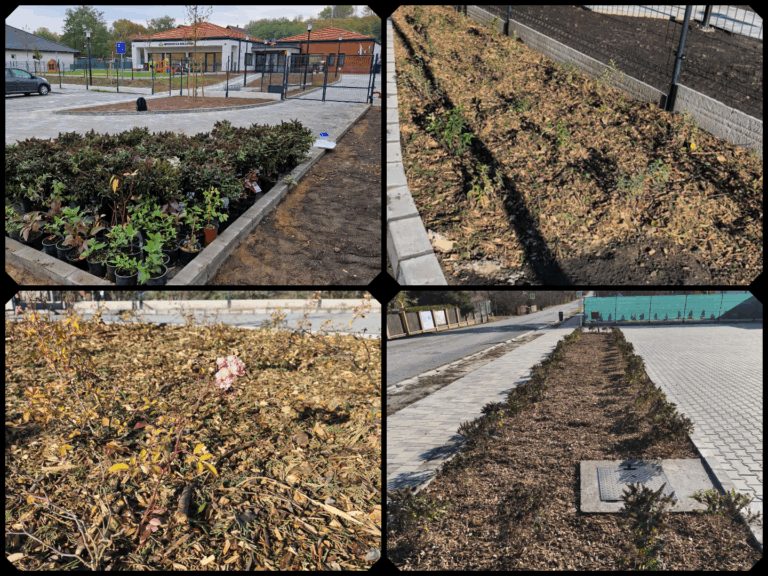 AZ „1000 CSERJE ÉVE” PROGRAM AZ UTOLSÓ SZAKASZÁBA LÉPETT