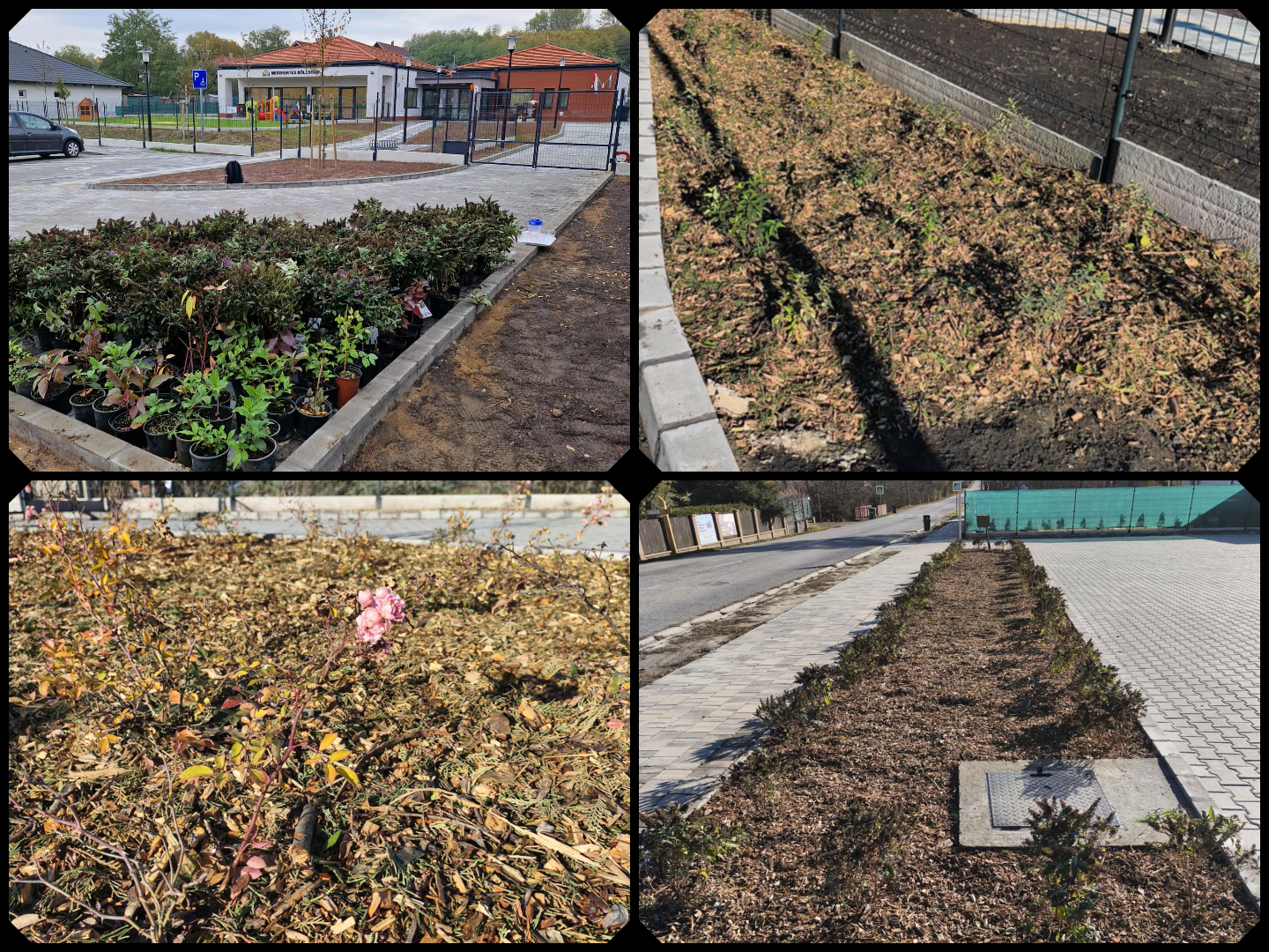 AZ „1000 CSERJE ÉVE” PROGRAM AZ UTOLSÓ SZAKASZÁBA LÉPETT