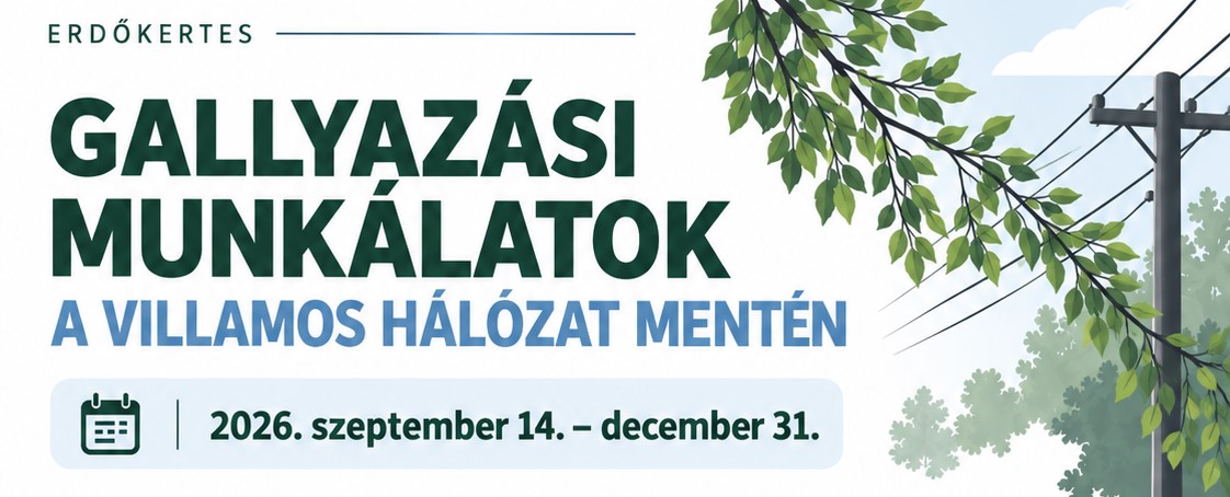 GALLYAZÁSI MUNKÁLATOK A VILLAMOS HÁLÓZAT MENTÉN